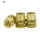 Fastener M4-M20knurled threaded insert brass nut